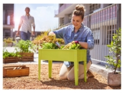 Lidl  Mini Raised Planter