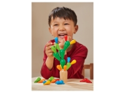 Lidl  Wooden Shape Toys