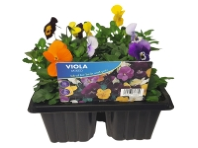 Spring Bedding 2.69 €