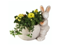 Lidl  Outdoor Easter Bunny Plant