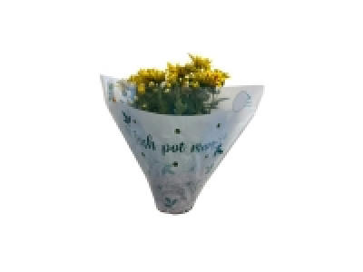 Irish Pot Mum
