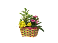 Lidl  Easter Planter Basket