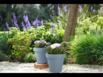 Lidl  Plant Pot