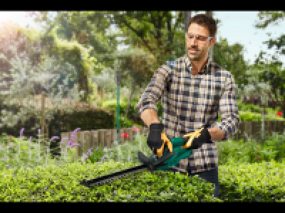 Lidl  12V Cordless Hedge Trimmer