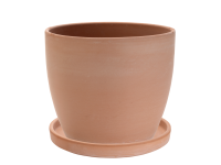 Lidl  Large Ceramic Pot