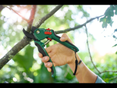 Lidl  Bypass/Anvil Secateurs