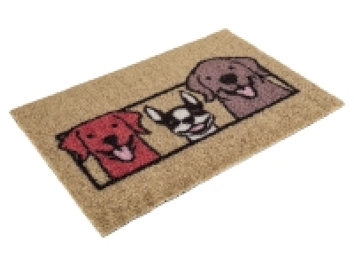 Lidl  Doormat