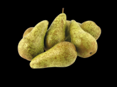 Conference Pears