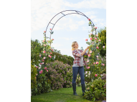 Lidl  Rose Arch/Garden Obelisk