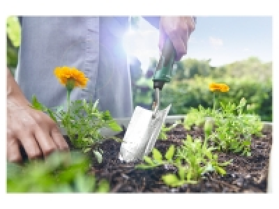 Lidl  Gardening Assortment