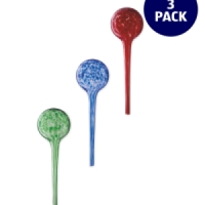 Aldi  Self Watering Globe Bulb 3 Pack