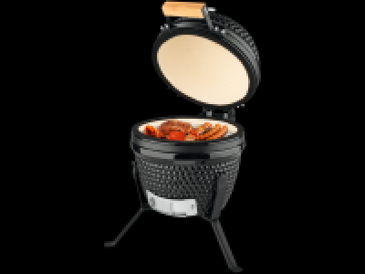 Lidl  Ceramic Grill