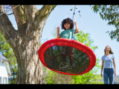 Lidl  Nest Swing