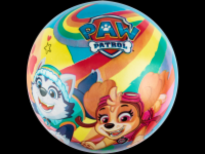 Lidl  Kids Character PVC Ball