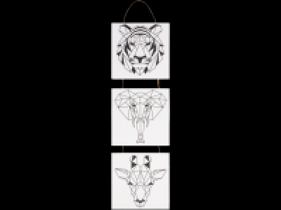 Canvas Set