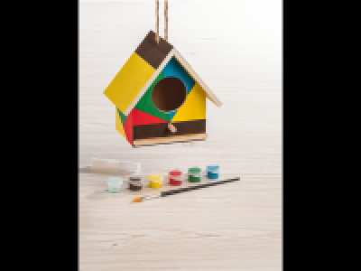 Paint Your Own Birdhouse