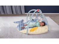 Lidl  Baby Activity Gym
