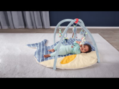 Baby Activity Gym