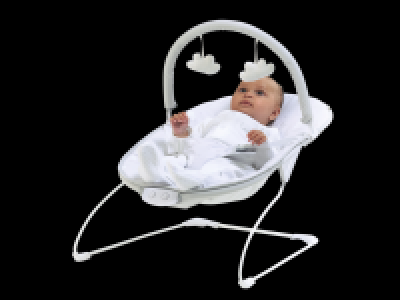 Snuggle Bouncer 39.99 €