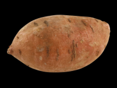 Sweet Potato