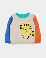 Dunnes Stores  Tiger Knit (6 months-4 years)