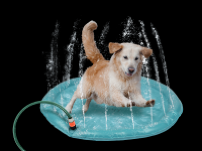Lidl  Dog Water Sprinkler Play Mat