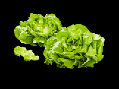 Irish Butterhead Lettuce 0.49 €