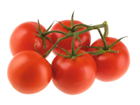 Lidl  Vine Tomatoes