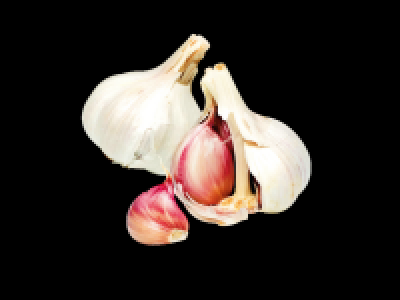 Lidl  Garlic