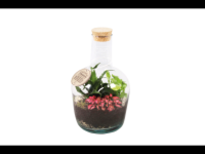 Terrarium Garden
