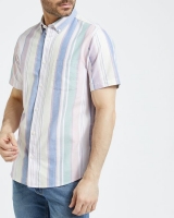 Dunnes Stores  Regular Fit Short-Sleeved Oxford Stripe Shirt