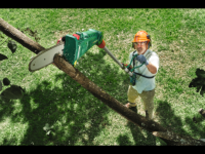 20V Cordless Pruner