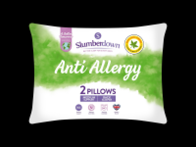 Lidl  Anti-Allergy Pillow Pair