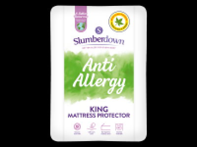 Anti-Allergy Mattress Protector King Size