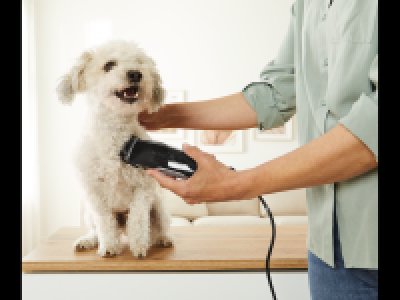 Pet Hair Clippers