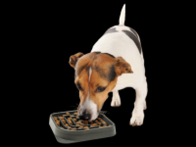 Lidl  Lick Mat/ Bowl