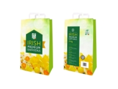 Premium Irish Daffodil Bulbs