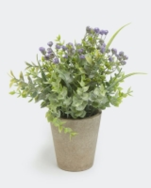 Artificial Plant 3.00 €