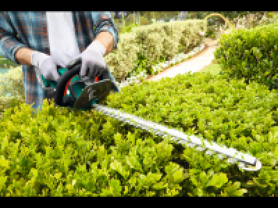 Lidl  20V Cordless Hedge Trimmer