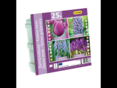 Colour Collection Bulbs