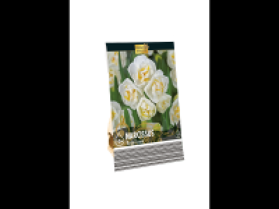 Premium Tulip Bulbs (Warm Mix)