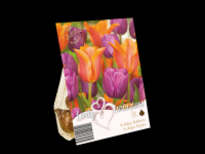 Premium Tulip Bulbs (Cool Mix)