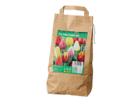 Lidl  Large Pack Tulip Bulbs