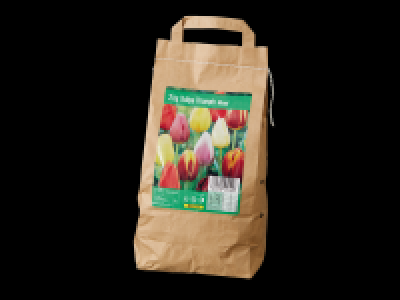 Lidl  Large Pack Tulip Bulbs