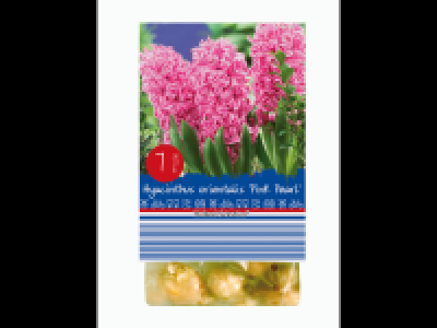 Spring Flowering Bulbs 1.99 €