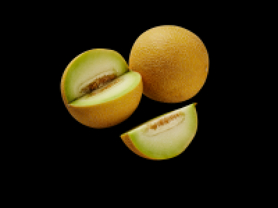 Galia Melon