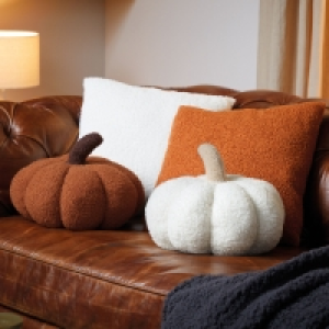 Aldi  Pumpkin or Square Cushion