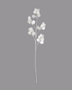 Paul Costelloe Living Honesty Leaf