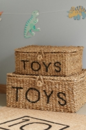 Toy storage box