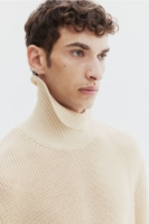 Regular Fit Polo-neck jumper